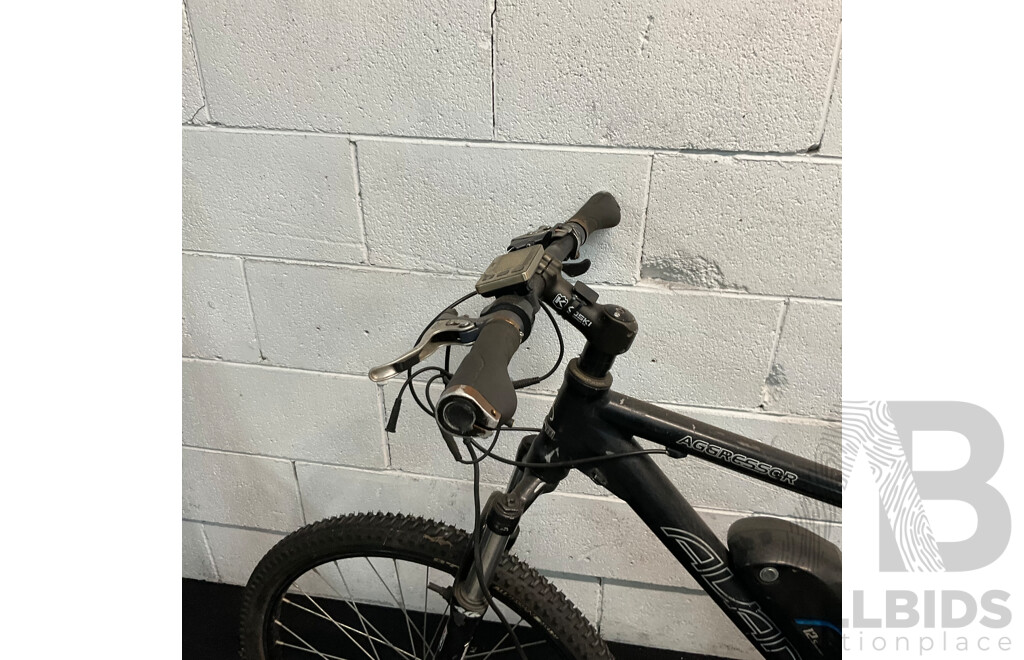 AVANTI Aggressor Bike