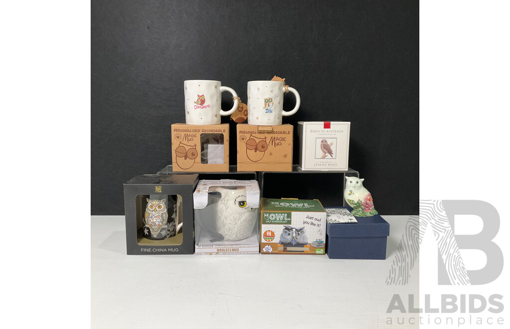 Parliament of Boxed Decorative Owls