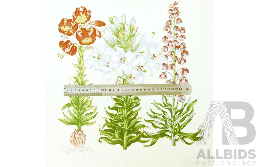 Garden Bed - Polished Cotton - Width: 140cm - 17 Metres - RRP$65.00 per Metre - Total RRP $1105