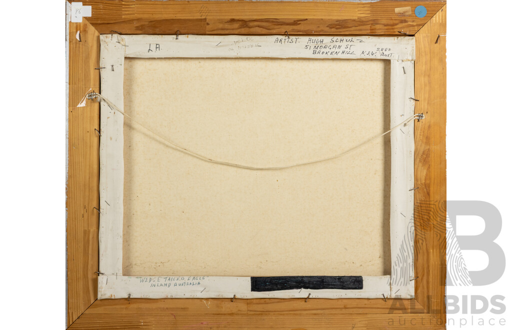 Hugh Schulz, Wedge Tailed Eagle, 50cm x 59cm Oil on Canvas