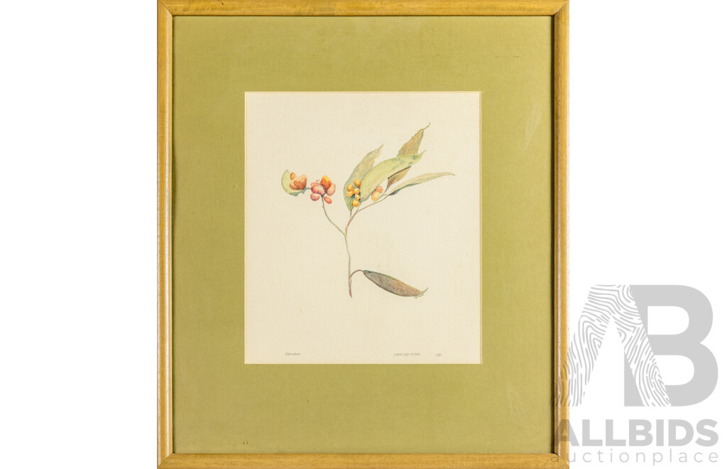 Roger Clarke, (20th Century), Snow Gum, Dargo High Plains (1987), Lovely Original Vintage Watercolour, 54H x 48W cm (frame)
