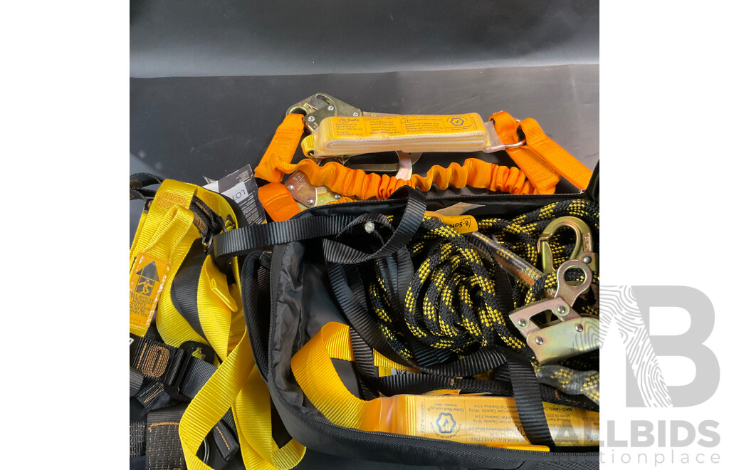 B-Safe Professional Roofers Kit