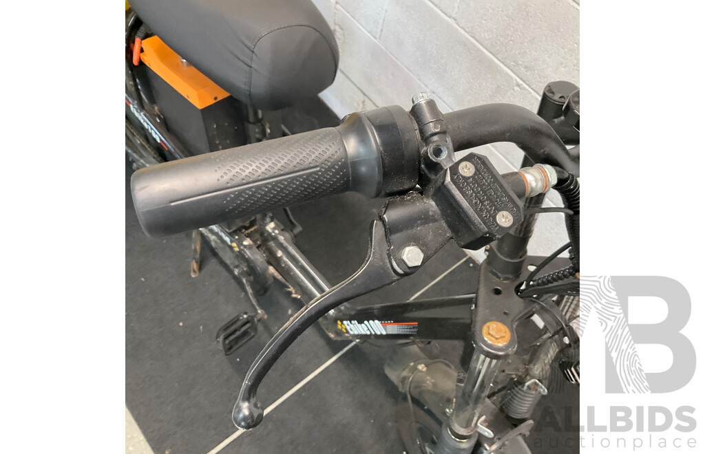 Ebike 100