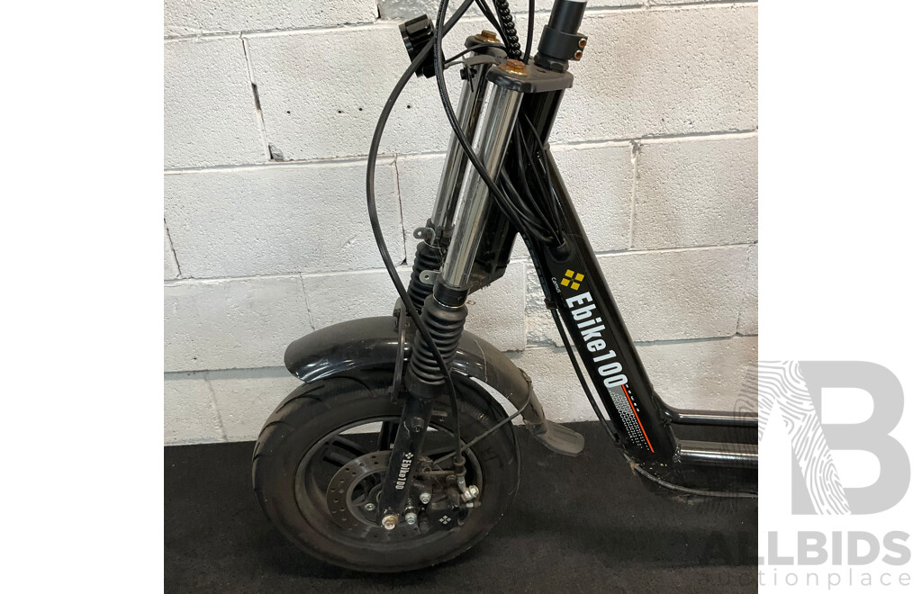 Ebike 100