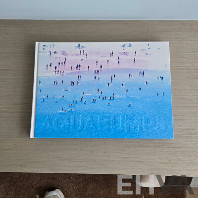 Eugene Tan,  ''Icebergs Barrell'' by Iconic Bondi Photographer of Aquabumps, Framed Photo