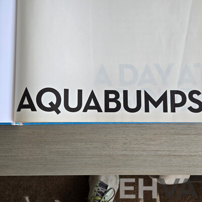 Eugene Tan,  ''Icebergs Barrell'' by Iconic Bondi Photographer of Aquabumps, Framed Photo