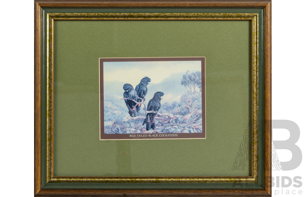 Artists Unknown, (20th Century, Australian), Laughing Kookaburras; Red Tailed Black Cockatoos & Rainbow Lorikeets, Trio of Nicely Framed Colour Prints, 24 x 29 cm (frame) (3)