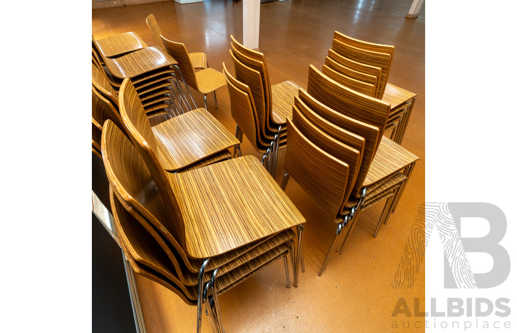 Plywood Cafe Chairs - Lot of 25