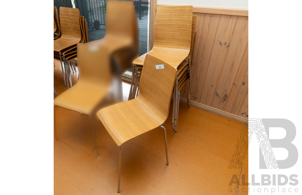 Plywood Cafe Chairs - Lot of Eight