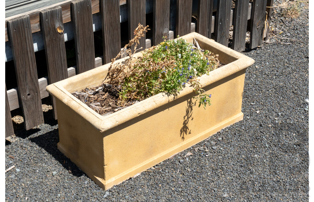 Beige Concrete Rectangular Planter Boxes - Lot of Five