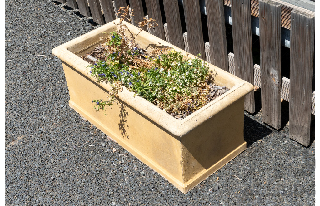 Beige Concrete Rectangular Planter Boxes - Lot of Five