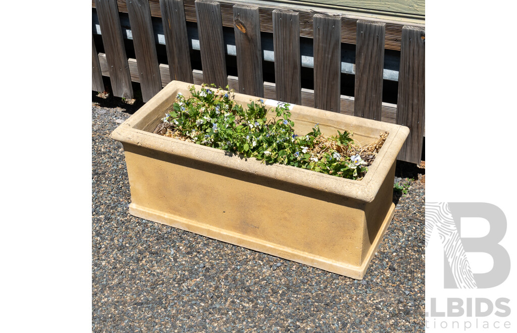 Beige Concrete Rectangular Planter Boxes - Lot of Five