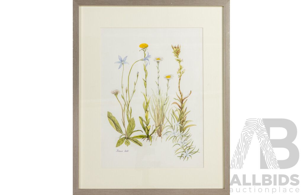 George Kraus (20th Century, Australian), Alpine Flowers (2013), Lovely Original Watercolour, 52 x 42 cm (frame)