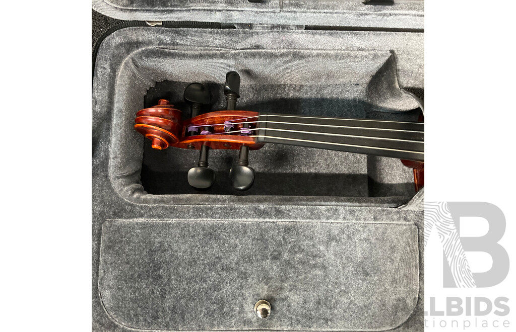 HOLZMANN Stringed Instruments Violin with Carry Case