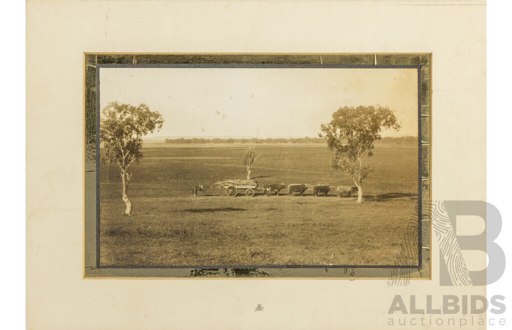 Artist Unknown, (20th Century), Rural Country Scene, Vintage Photograph with Mat Board, 19 x 29 cm (unframed)