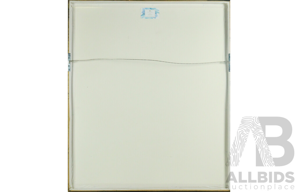 Framed Singed Brisbane Broncos 2005 Jersey