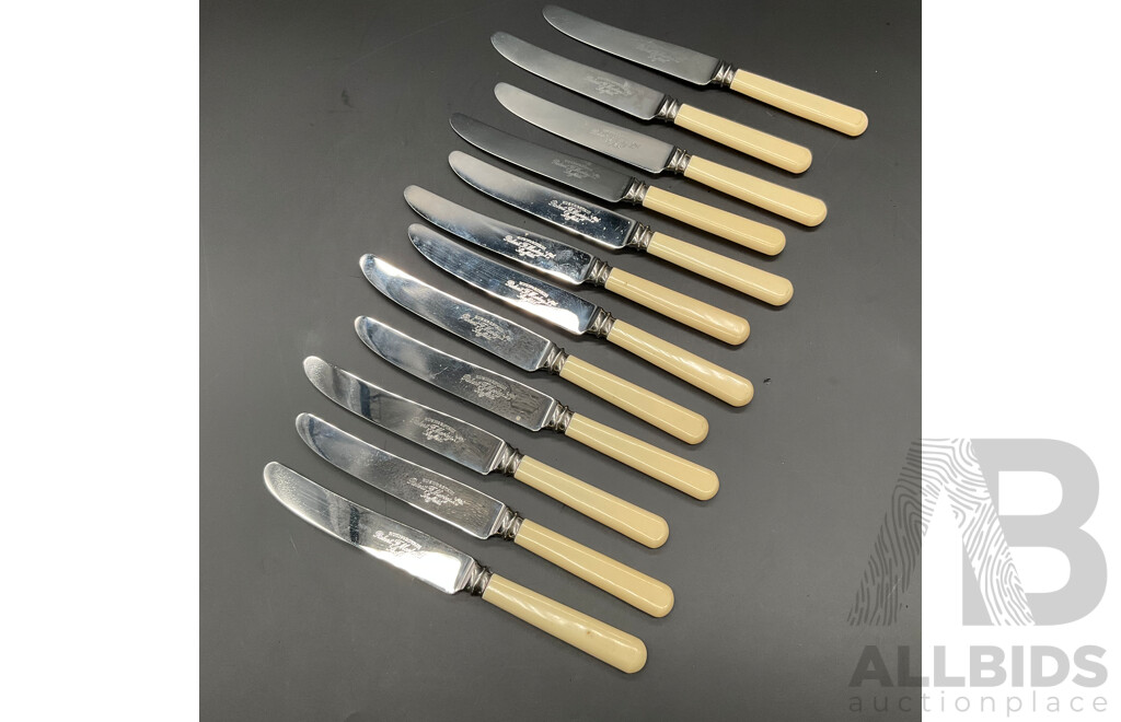 Vintage Set of 12 Robert F Morley 'Rusnorstain' Faux Bone Handled Knives