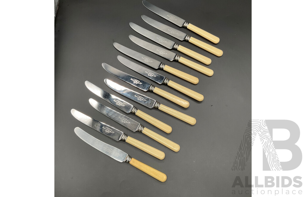 Vintage Set of 11 Robert F Morley 'Rusnorstain' Faux Bone Handled Knives & 1x Robert F Wilding 'Cathedral Cutlery Co.' Faux Bone Handled Knife
