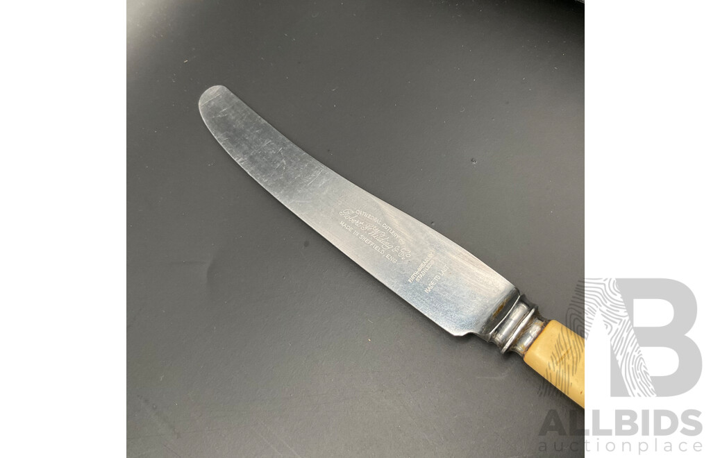 Vintage Set of 11 Robert F Morley 'Rusnorstain' Faux Bone Handled Knives & 1x Robert F Wilding 'Cathedral Cutlery Co.' Faux Bone Handled Knife