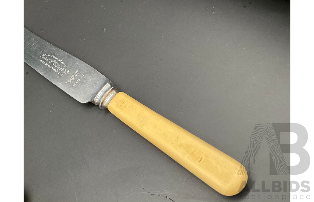 Vintage Set of 11 Robert F Morley 'Rusnorstain' Faux Bone Handled Knives & 1x Robert F Wilding 'Cathedral Cutlery Co.' Faux Bone Handled Knife