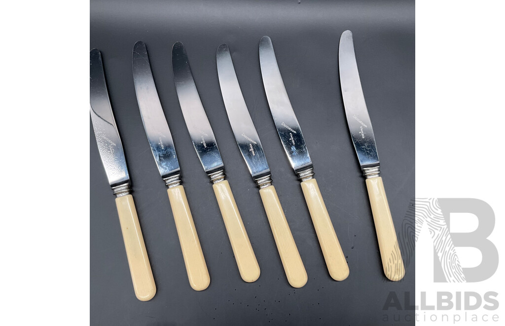 Vintage Collection - Ranleigh Stainless Serving Tray & Grosvenor Stainless Knives & Grosvenor Plate E.P.N.S A1 Forks and Spoons