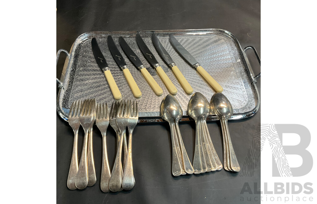 Vintage Collection - Ranleigh Stainless Serving Tray & Grosvenor Stainless Knives & Grosvenor Plate E.P.N.S A1 Forks and Spoons