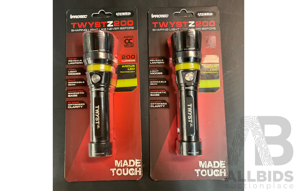 TWYSTZ200 Tough Flash Light X2 & 49cm Baseball Bat LED Flashlight & ANKO Folding Moon Chair