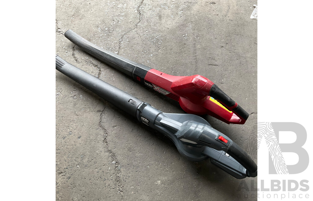 Victa Cut Push Mower & Assorted Ozito Power Tools