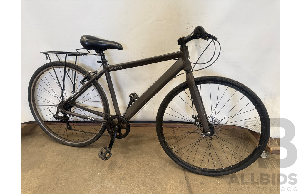 18.5 Inch Copenhagen Mountain Bike