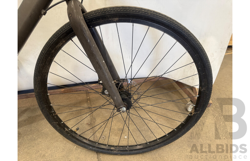 18.5 Inch Copenhagen Mountain Bike