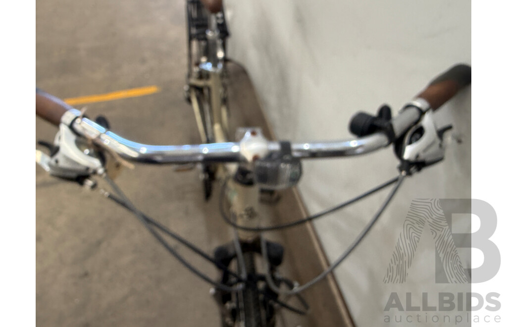 17.5 Inch Avanti Discovery Street Cruiser Bike