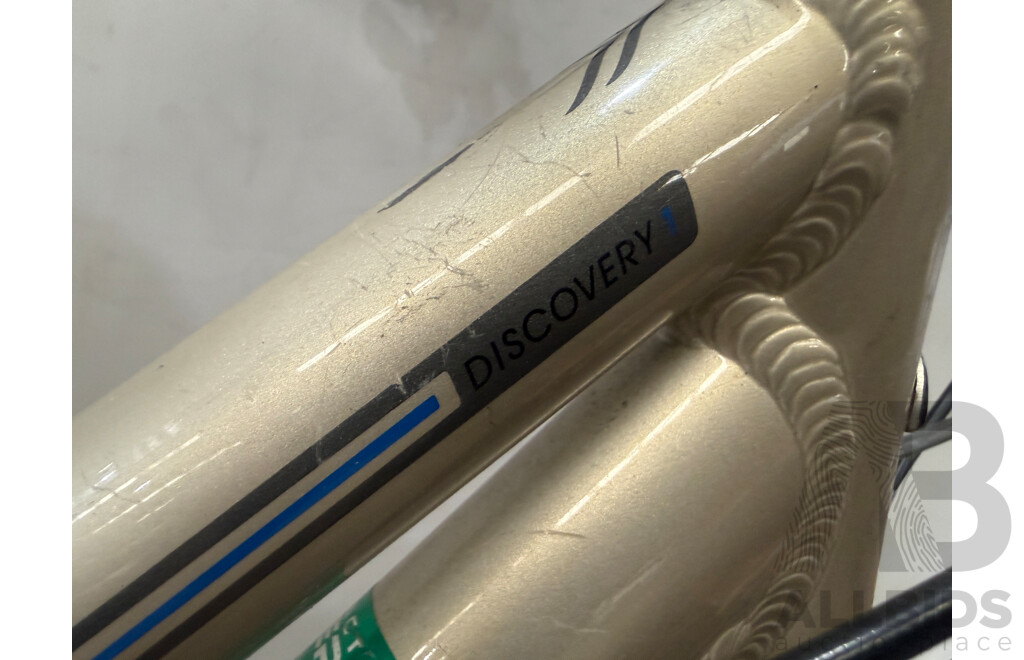 17.5 Inch Avanti Discovery Street Cruiser Bike