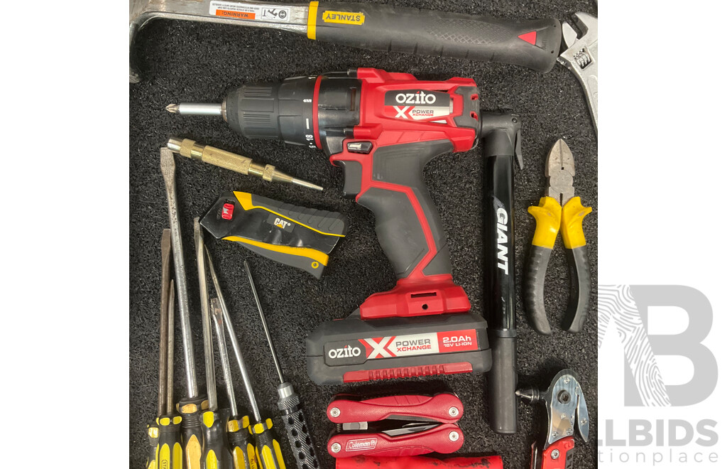 Assorted Hand Tools, Including TROJAN, STANLEY, and More, GIANT Bike Pump, BOSCH Laser Spirit Level (PLL1P) and OZITO 18V Drill Driver with 2.0Ah Battery