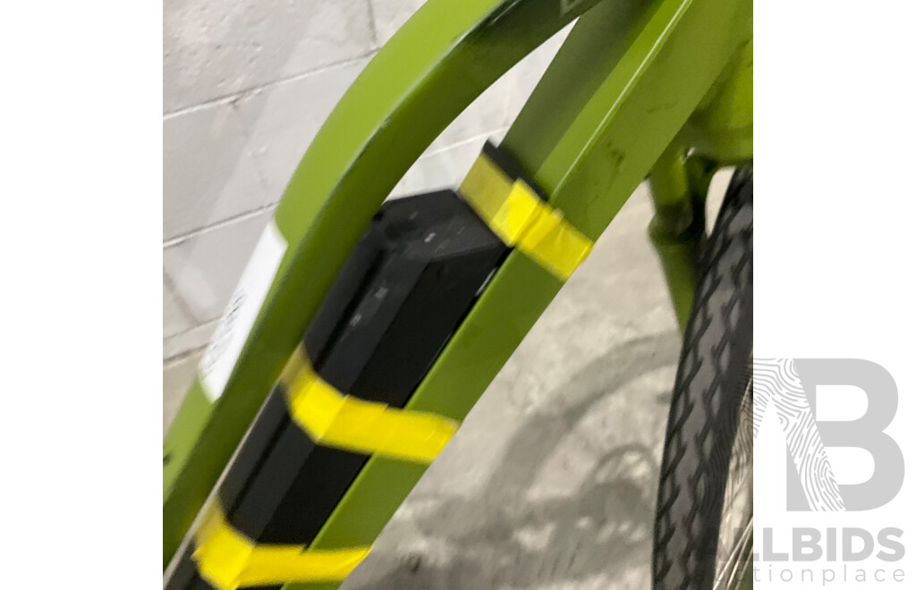 Painted Green E-bike
