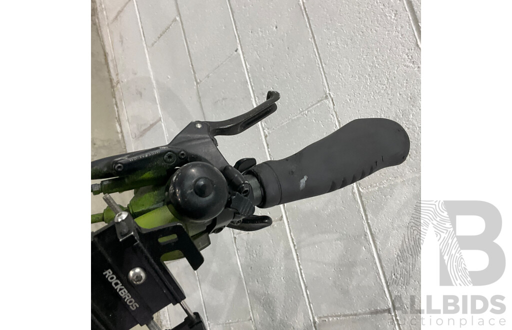 Painted Green E-bike