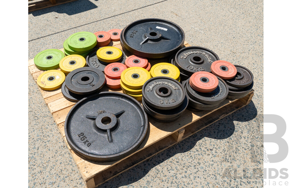 Weight Plates in Various Weights & Sizes
