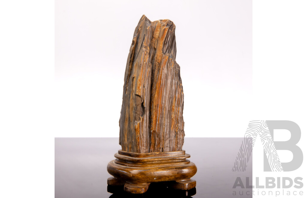 Chinese Petrified Wood Scholar's Rock