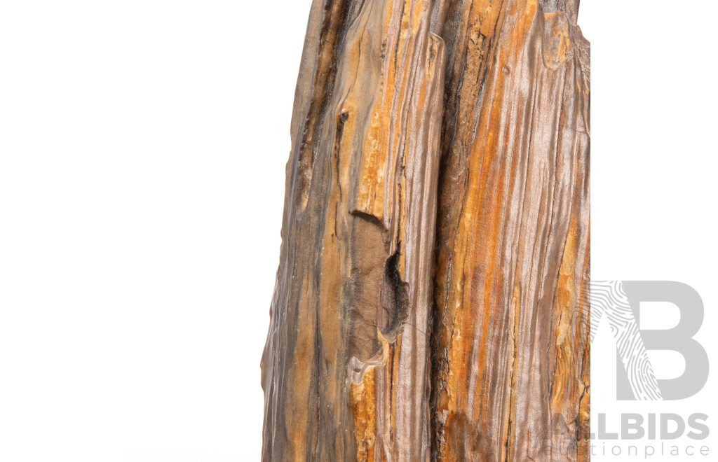 Chinese Petrified Wood Scholar's Rock