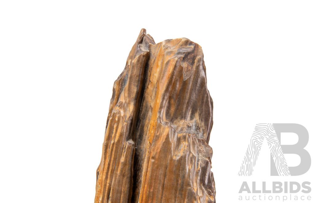 Chinese Petrified Wood Scholar's Rock