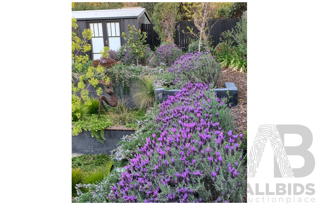 Garden and Horticulture Consultation