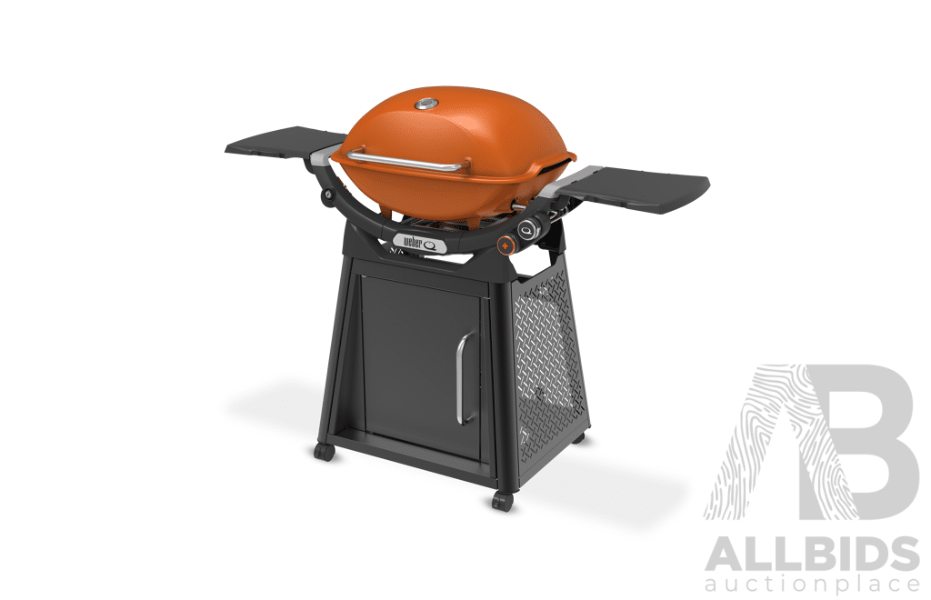 Family Weber Q Plus Premium