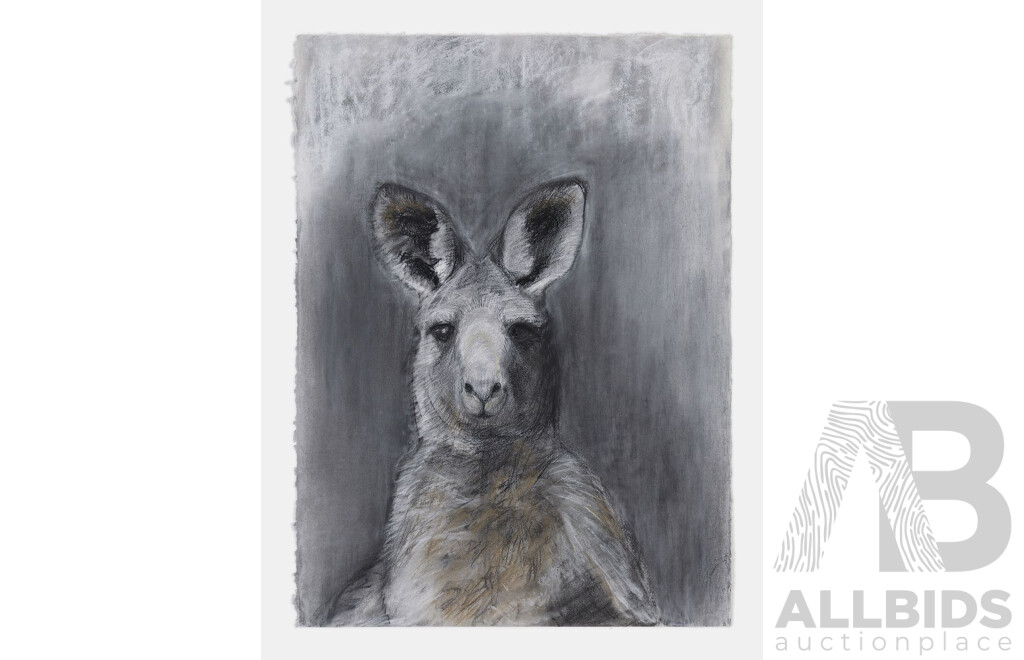 Framed Charcoal Drawing of Kangaroo by Sally Simpson