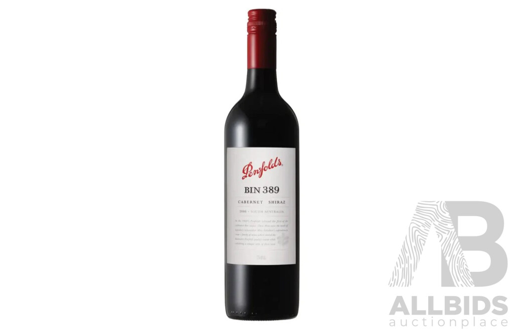 Six Bottle Case of Penfolds Bin 389