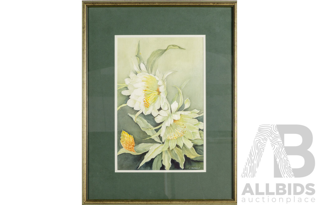 Vi Davoren, (20th Century), Cactus Flower, Original Watercolour, 53 x 40 cm (frame)