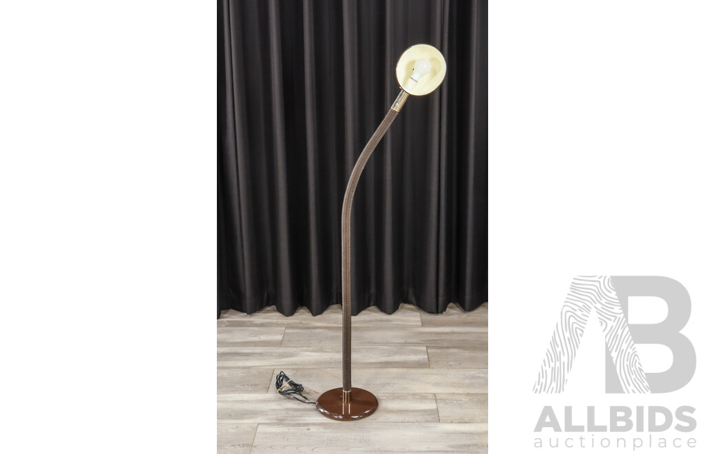 Oslo Snake Neck Floor Lamp in Mission Brown