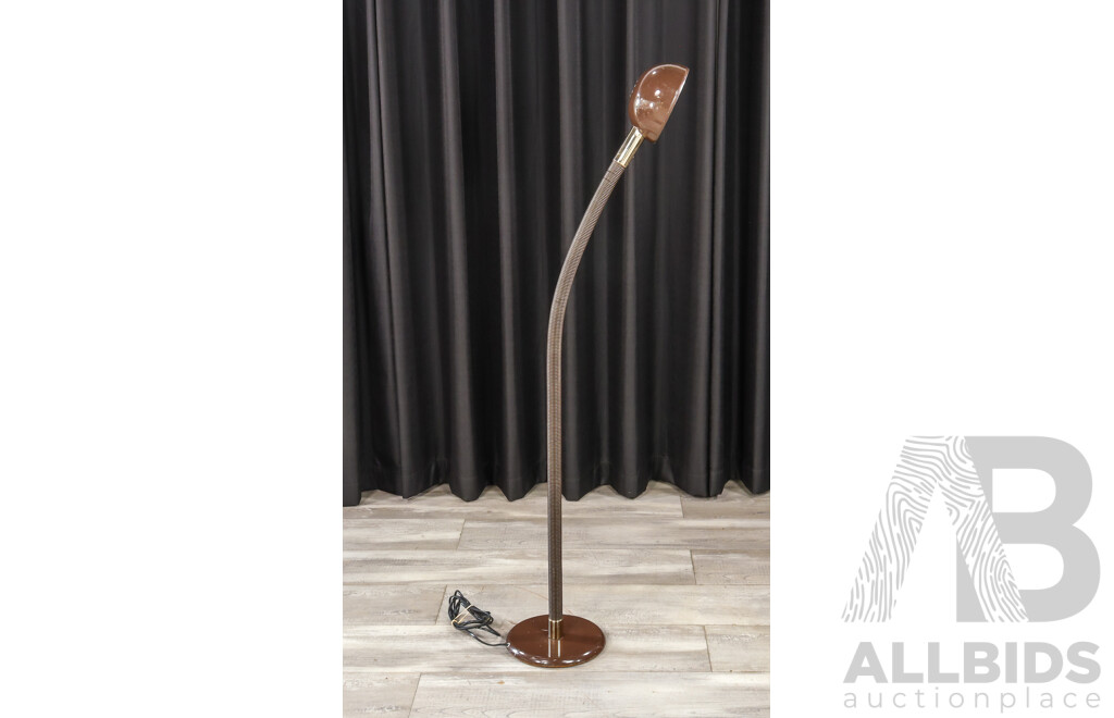 Oslo Snake Neck Floor Lamp in Mission Brown