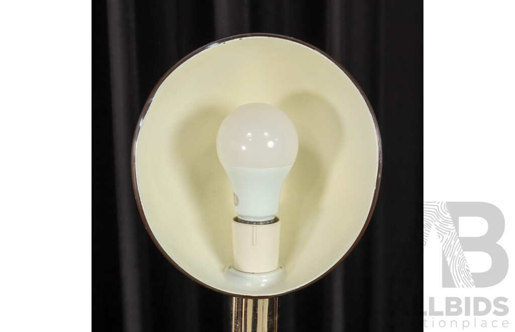 Oslo Snake Neck Floor Lamp in Mission Brown