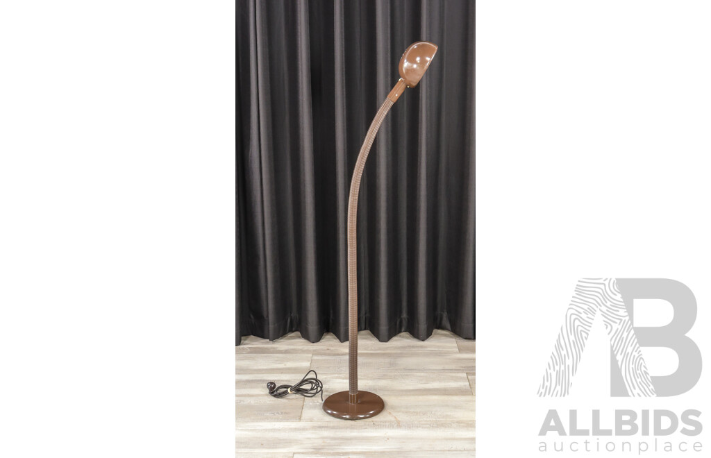 Oslo Snake Neck Floor Lamp in Mission Brown