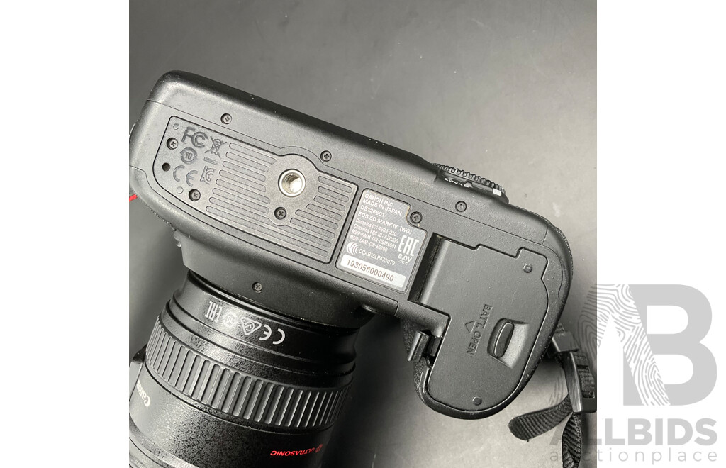 CANON EOS 5D Mark IV with CANON EF 20-105mm Lens