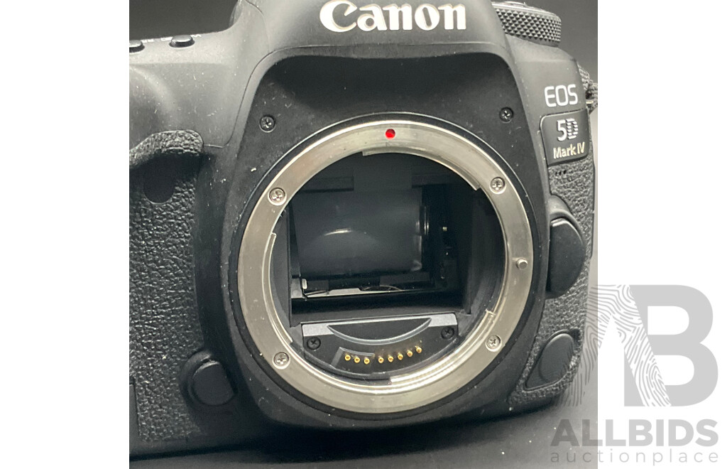 CANON EOS 5D Mark IV with CANON EF 20-105mm Lens